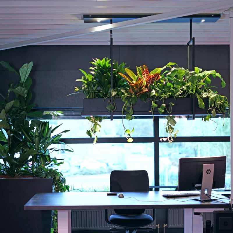 2800 - Oslo luminaire à plantes 
