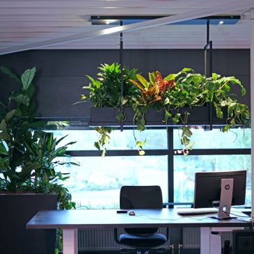 2800 - Oslo luminaire à plantes 