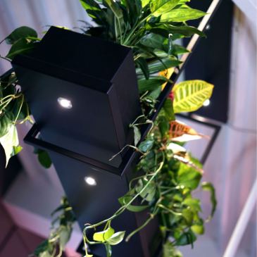 2800 - Oslo luminaire à plantes 