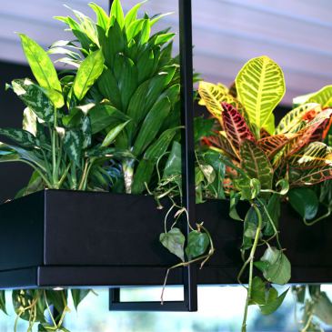 2800 - Oslo luminaire à plantes 