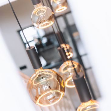40080 - Segula 007 lampe suspendue organique 140cm - 8 lumières
